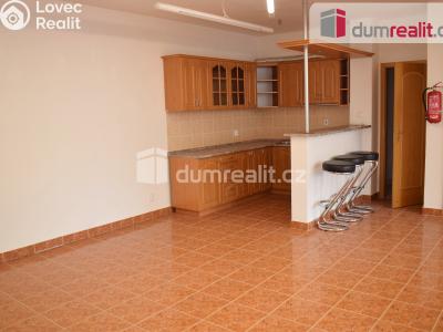 Prodej výrobní haly Modlany č. 13