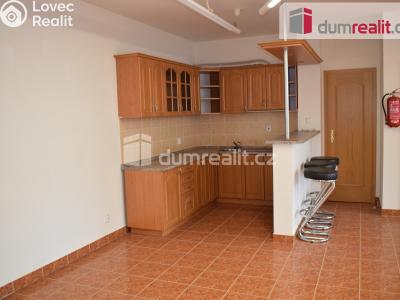 Prodej výrobní haly Modlany č. 16