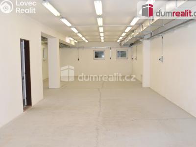 Prodej výrobní haly Modlany č. 18