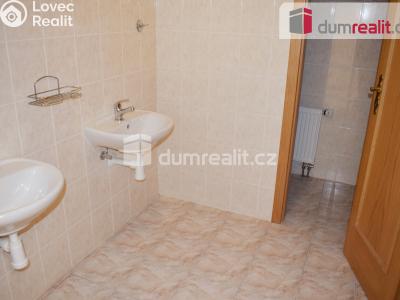 Prodej výrobní haly Modlany č. 29