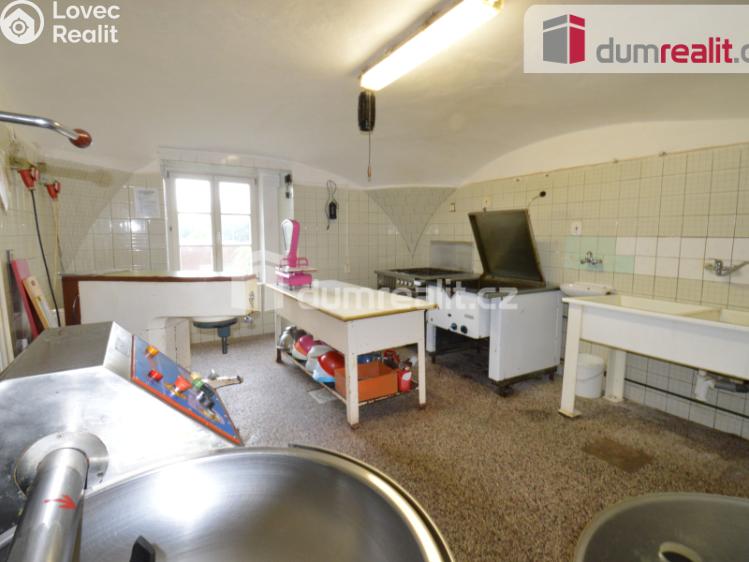 Prodej výrobní haly Lovosice, Osvoboditelů 201 č. 3