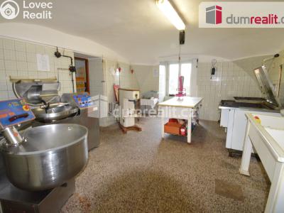 Prodej výrobní haly Lovosice, Osvoboditelů 201 č. 2