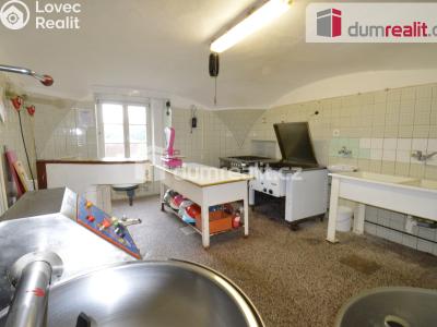 Prodej výrobní haly Lovosice, Osvoboditelů 201 č. 3