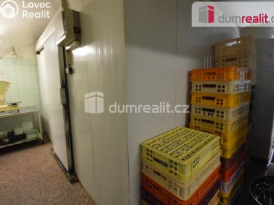 Prodej výrobní haly Lovosice, Osvoboditelů 201 č. 8