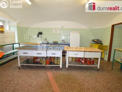 Prodej výrobní haly Lovosice, Osvoboditelů 201 č. 5