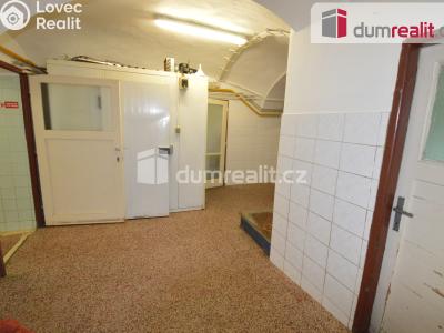 Prodej výrobní haly Lovosice, Osvoboditelů 201 č. 11