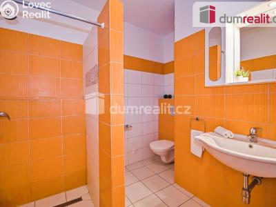 Prodej bytu 2+KK České Budějovice, Otakarova č. 18