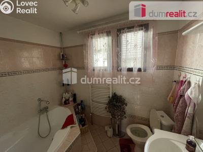 Pronájem rodinného domu Kamýk nad Vltavou č. 11