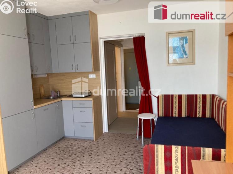 Pronájem bytu 1+KK Plzeň, Heyrovského 480 č. 1