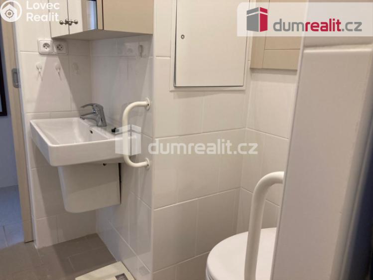 Pronájem bytu 1+KK Plzeň, Heyrovského 480 č. 5