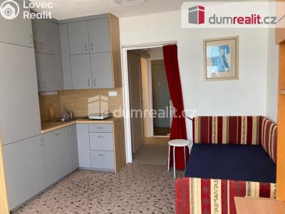 Pronájem bytu 1+KK Plzeň, Heyrovského 480 č. 1