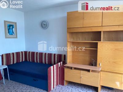 Pronájem bytu 1+KK Plzeň, Heyrovského 480 č. 3