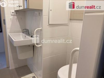 Pronájem bytu 1+KK Plzeň, Heyrovského 480 č. 5