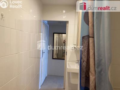 Pronájem bytu 1+KK Plzeň, Heyrovského 480 č. 6