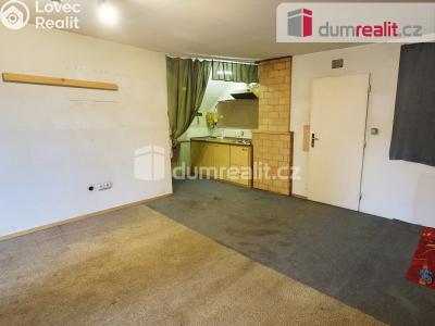 Prodej rodinného domu Velký Borek č. 21