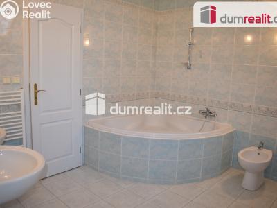 Prodej výrobní haly Modlany č. 37