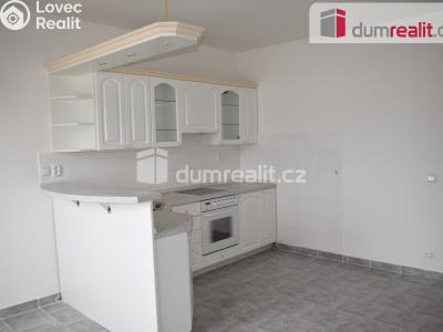 Prodej výrobní haly Modlany č. 39