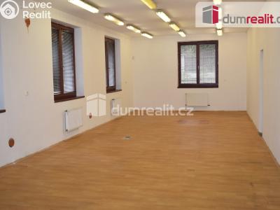 Prodej výrobní haly Modlany č. 43