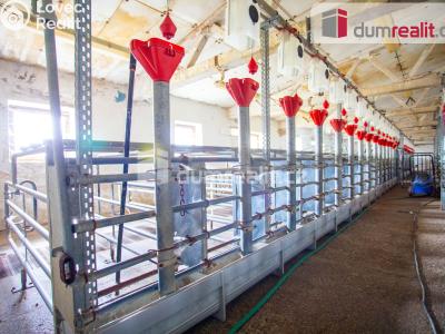 Prodej zemědělského objektu Majdalena č. 16