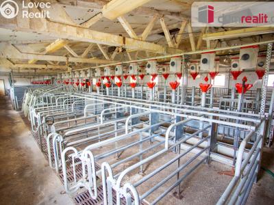 Prodej zemědělského objektu Majdalena č. 17