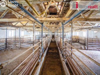 Prodej zemědělského objektu Majdalena č. 20