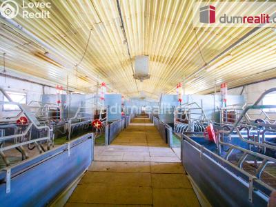 Prodej zemědělského objektu Majdalena č. 25