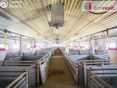 Prodej zemědělského objektu Majdalena č. 26