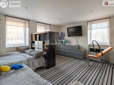 Prodej rodinného domu Kralupy nad Vltavou, Kladenská 82 č. 15