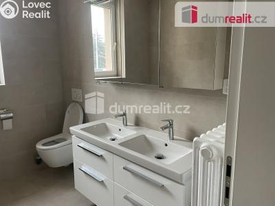 Pronájem rodinného domu Praha, Romana Blahníka 804 č. 8