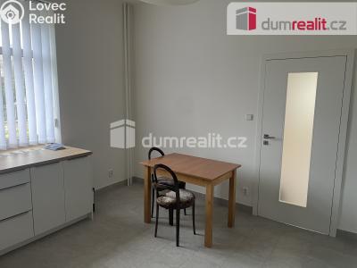 Pronájem rodinného domu Praha, Romana Blahníka 804 č. 10