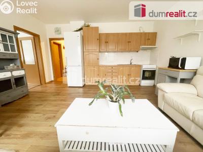 Pronájem bytu 3+KK Chlumec, Stradovská č. 1