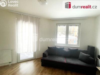 Pronájem bytu 3+KK Chlumec, Stradovská č. 3