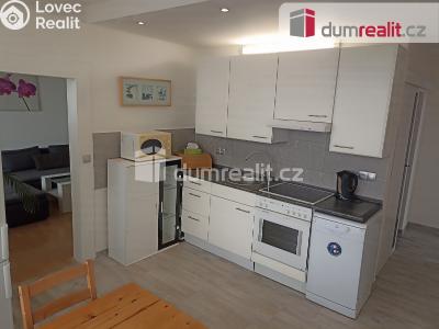 Pronájem bytu 3+1 Ústí nad Labem, Malátova 2433 č. 7