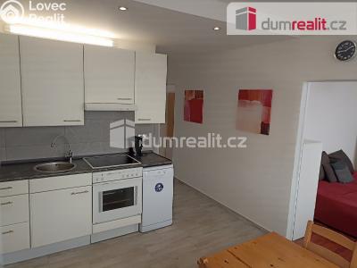 Pronájem bytu 3+1 Ústí nad Labem, Malátova 2433 č. 2