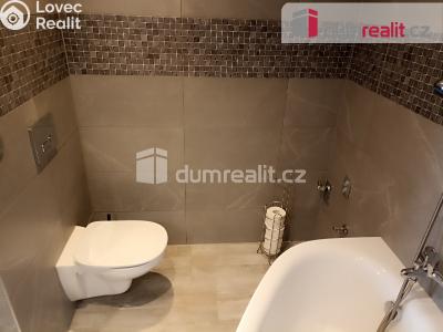 Pronájem bytu 3+1 Ústí nad Labem, Malátova 2433 č. 6