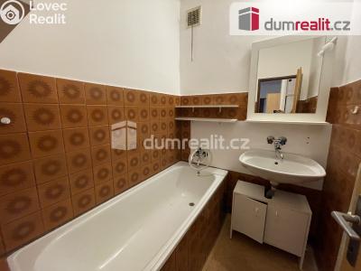 Pronájem bytu 2+1 Příbram, S. K. Neumanna 229 č. 8