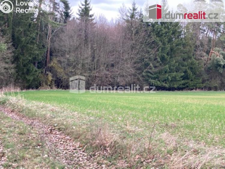 Prodej lesa Sepekov č. 4