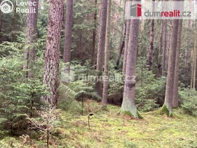 Prodej lesa Sepekov č. 3