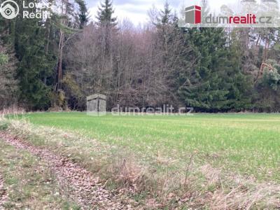 Prodej lesa Sepekov č. 4