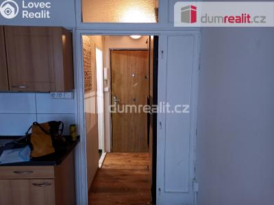 Prodej bytu 1+1 Ostrov, Kollárova 1270 č. 4