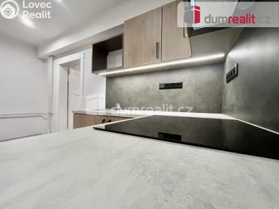 Pronájem bytu 2+KK Ústí nad Labem, Na Stráni 596 č. 7