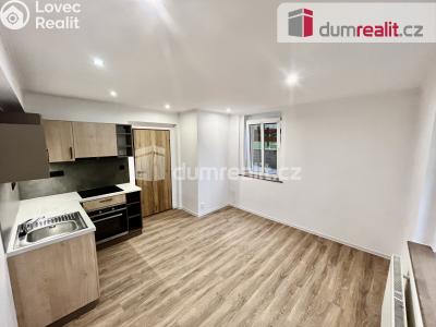 Pronájem bytu 2+KK Ústí nad Labem, Na Stráni 596 č. 12