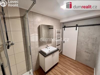 Pronájem bytu 2+KK Ústí nad Labem, Na Stráni 596 č. 14