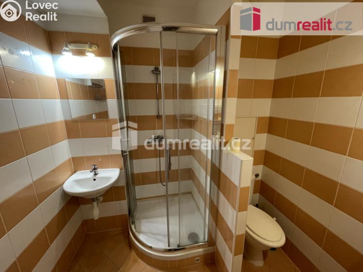 Pronájem bytu 1+1 Příbram, Edvarda Beneše 58 č. 3