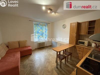 Pronájem bytu 1+1 Příbram, Edvarda Beneše 58 č. 2