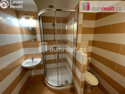 Pronájem bytu 1+1 Příbram, Edvarda Beneše 58 č. 3