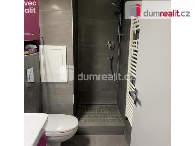 Prodej bytu 2+KK Jáchymov, K Lanovce 1048 č. 7