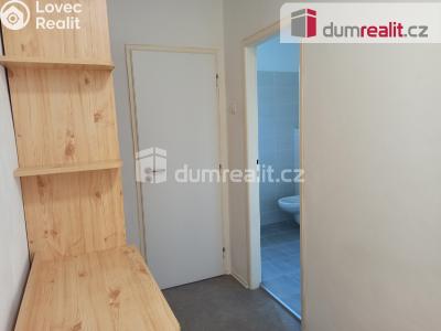 Pronájem bytu 2+1 Ostrov, Jáchymovská 806 č. 8