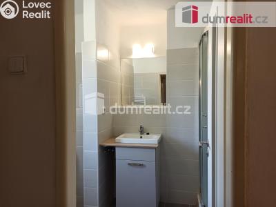Pronájem bytu 2+1 Ostrov, Jáchymovská 806 č. 11