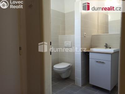 Pronájem bytu 2+1 Ostrov, Jáchymovská 806 č. 15